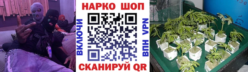Купить наркоту Новоалександровск Cocaine  А ПВП  АМФЕТАМИН  ГАШ  МЕТАДОН  Меф  Каннабис 