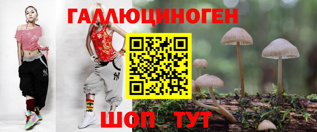 Новоалександровск  Псилоцибиновые грибы прущие грибы  Вход с VPN  Галлюциногенные грибы ЛСД 