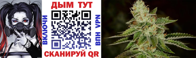 мега зеркало  где купить наркоту  Новоалександровск  Бошки Шишки LSD WEED 